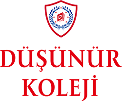 Düşünür Koleji